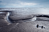 UNESCO World Heritage the Wadden Sea, intertidal estuarine mudflats at Wremen, Cuxhaven, Lower Saxony, Germany, North Sea