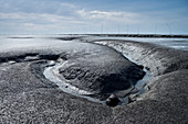 UNESCO World Heritage the Wadden Sea, intertidal estuarine mudflats at Wremen, Cuxhaven, Lower Saxony, Germany, North Sea