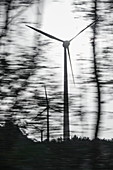 Blurred image through car window of tree and wind turbine silhouettes, near Twist, Emsland, Lower Saxony, Germany