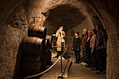 Tour guide explains history of underground Katakomben catacomb tunnel system of Bayreuther Bierbrauerei AG, Bayreuth, Franconia, Bavaria, Germany