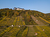 Aerial of vineyards and Franziskanerkloster Engelberg abbey, Großheubach, near Miltenberg, Spessart-Mainland, Franconia, Bavaria