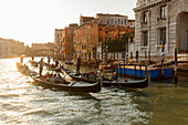 Palaces along the Canal Grande, gondolas, Venezia, Venice, UNESCO World Heritage Site, Veneto, Italy, Europe