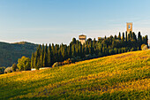 Abbazia de San Michele Arcangelo, monastry and vineyards, autumn, Passignano, near Tavernelle Val di Pesa, Chianti, Tuscany, Italy, Europe