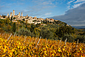 Stadtansicht mit Geschlechtertürmen, Türme, Weinberg, San Gimignano, UNESCO Weltkulturerbe, Provinz Siena, Herbst, Toskana, Italien, Europa