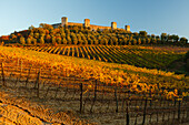 townwall, vineyards, Monteriggioni, Via Francigenia, province of Siena, Tuscany, Italy, Europe