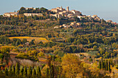 cypresses, vineyards, autumn, Montepulciano, hilltown, Tuscany, Italy, Europe
