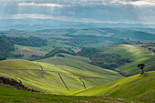 hilly landscape near Volterra, Tuscany, Italy, Europe