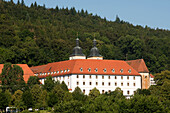 View to Benedictine Abbey Planksetten in the Sulz Valley between Beilngries and Berching, Lower Bavaria