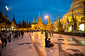 Die Shwedagon Pagode in Yangon, Myanmar
