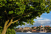 Skeppsholmen, Blick auf Soedermalm , Stockholm, Schweden