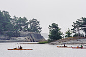 Paddlers in kayak at the Fiskhamn Flock Garden, Stockholm, Sweden