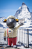 wolli, the mascot of the gornergrat, with the matterhorn in the background, ski resort, zermatt, canton of valais, switzerland