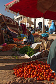 the berber market of ida oudgourd, vegetable seller, a solely men's market, essaouira, mogador, atlantic ocean, morocco, africa