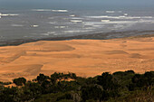 the dunes of of cape sim, essaouira, mogador, atlantic ocean, morocco, africa