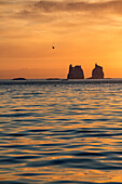 sunset over the icebergs in the ice fjord, jakobshavn glacier, 65 kilometres long, coming from the inlandsis, sermeq kujalleq, ilulissat, greenland
