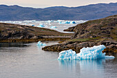 floating icebergs that separated from the glacier snout, fjord of narsaq bay, greenland