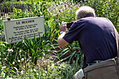 tourists taking photos of the commemorative plaque of the bucher, the spot where joan of ark was burned at the stake on may 30, 1431, rouen (76), france