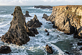 the aiguilles de port coton sea stacks, the wild coast of bangor, belle-ile-en-mer (56), france
