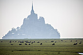 the bay of mont-saint-michel (50), france