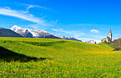 Panoramic of valley covered with yellow flowers, Schmitten, District of Albula, Canton of Graubunden, Switzerland, Europe