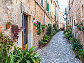 Street with flowers, Valdemossa, Mallorca, Balearic Islands, Spain, Mediterranean, Europe