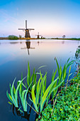Windmills on the canal and grass in the foreground, Kinderdijk, UNESCO World Heritage Site, Molenwaard municipality, South Holland province, Netherlands, Europe