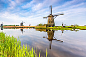 Windmills reflection on the canal and grass in the foreground, Kinderdijk, UNESCO World Heritage Site, Molenwaard municipality, South Holland province, Netherlands, Europe