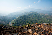 Green Naga hills stretching into the distance, scarred by brown scorched hill after slash and burn system has occurred, Nagaland, India, Asia