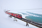 Bernina Express train at Bernina Pass under a snowfall, Engadine, Canton of Graubunden, Switzerland, Europe
