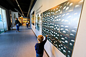 Child looks at panels on the wall, Zoological Museum, University of Copenhagen, Denmark, Europe