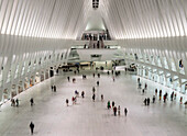 Calatrava's World Trade Center Oculus Shopping Mall, New York, United States of America, North America