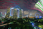 Supertrees at Gardens by the Bay, illuminated at night, Singapore, Southeast Asia, Asia