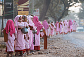 Buddhist nuns collecting alms in the early morning near Hsipaw, Shan State, Myanmar (Burma), Asia