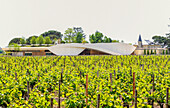 France, Gironde, St Emilion, 21st century wine-warehouse of Chateau Cheval Blanc, First Grand Cru Classe