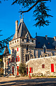 France, Gironde, St Etienne-de-Lisse, Chateau de Pressac in the AOC St Emilion (UNESCO World Heritage)