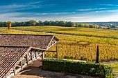 France, Gironde, AOC Fronsac vineyard of the Chateau de Carles