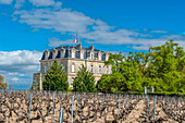 France, Gironde, Medoc, Chateau La Tour-de-By, AOC Medoc