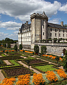 France, Center France, Touraine, Chateau de Villandry and its remarkable garden. Vertical view with square gardens and orange flowers.