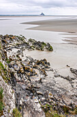 Normandy, the Mont Saint Michel and bay from the Southern Pointe du Grouin, (UNESCO World Heritage) (on the way to Santiago de Compostela)