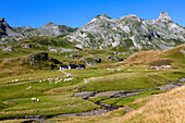 France, Nouvelle Aquitaine, Pyrenees atlantiques department (64), Bearn country, Pyrenees National Park near Pourtalet montain pass (Aneou circle)