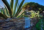 Europe,Espagne,Catalogne,Costa Brava,Cadaques,The creek of Portlligat, is one of the most beautiful creeks of Costa Brava.