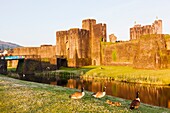 Wales, Glamorgon,Caerphilly, Caerphilly Castle