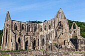 Wales, Monmouthshire, Tintern Abbey