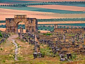 Morocco, Meknes, the roman ruins of Volubilis