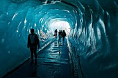 Chamonix, Mer de Glace, Haute Savoie, France, Europe