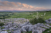 View of limestone pavement, Malham Cove, Malham, Yorkshire Dales National Park, North Yorkshire, England, United Kingdom, Europe