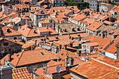 Looking across Dubrovnik's terracotta tiled rooftops, Dubrovnik, Croata, Europe
