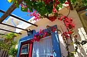 Restaurant exterior with bougainvillea, Kritsa, Crete, Greek Islands, Greece, Europe