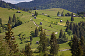 Countryside and farms between Sucevita to Vatra Moldovitei in Carpathian foothills, Bukovina, Romania, Europe