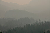 Idyllic shot of mountain in foggy weather, Britania, Canada, British Columbia